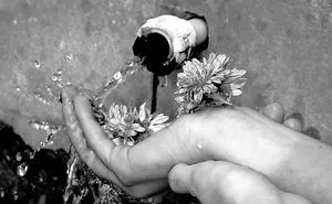I Use My Smartphone To Take Black And White Photos