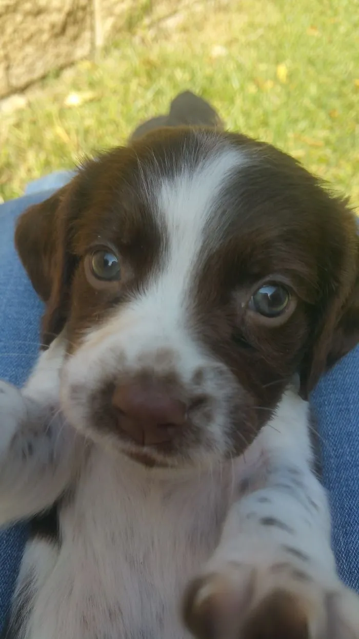 Kirby 5 Weeks