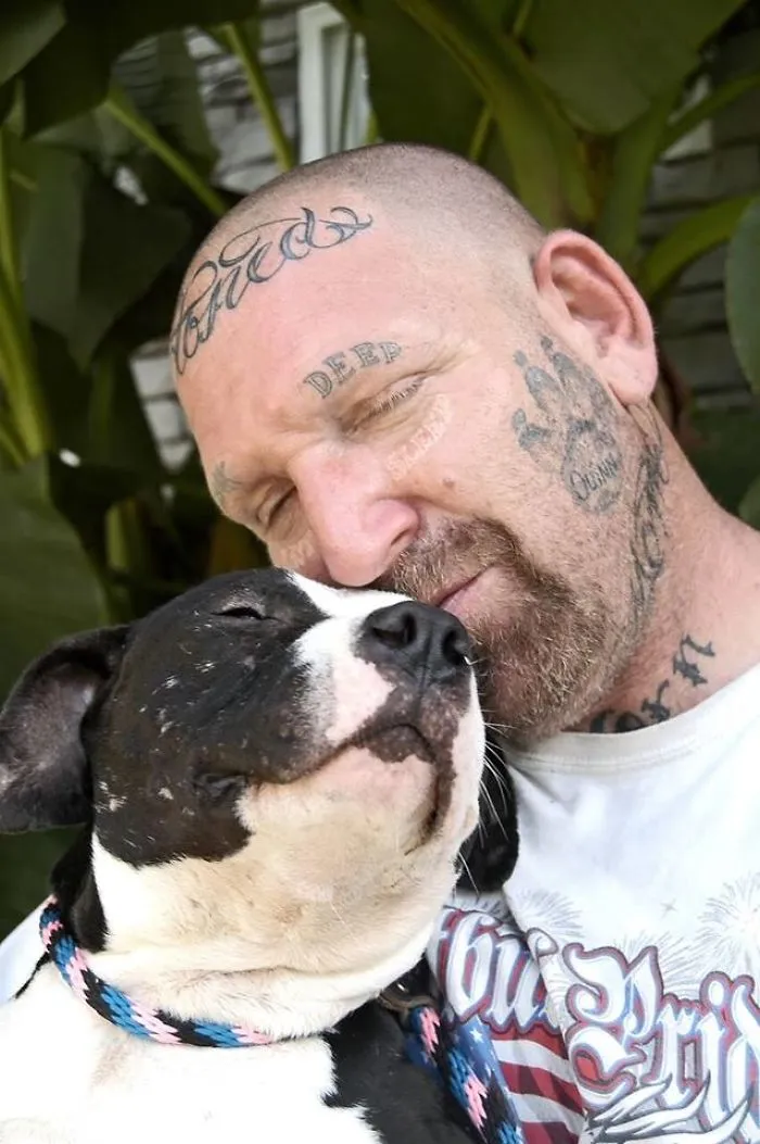 Pitbull Rescue Doing Big Things For The Breed