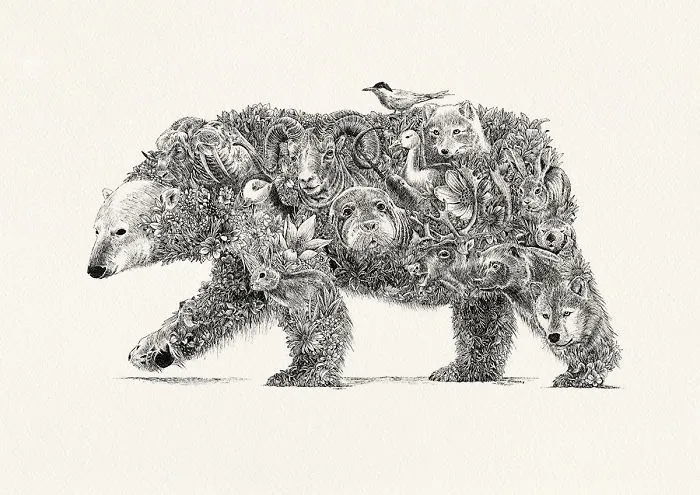 Polar Bear / The Arctic