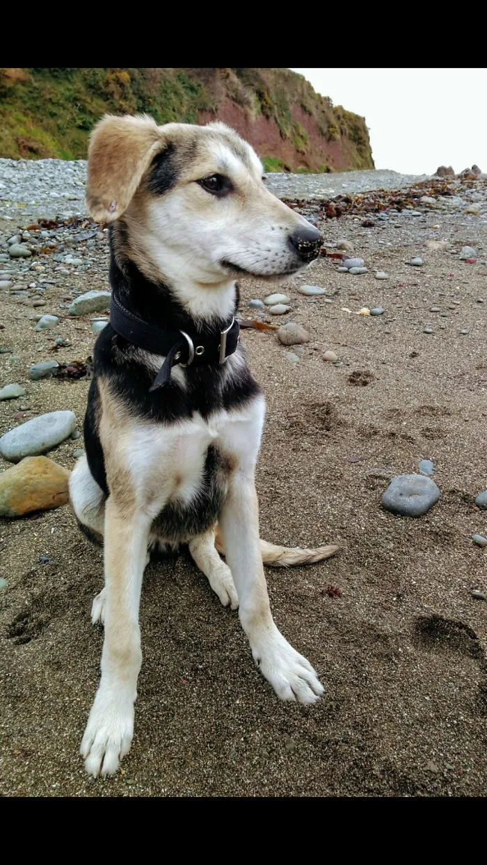 Ciúin At The Beach