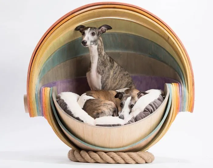 Architects Around The World Design Unique Dog Houses And It's For A Good Cause