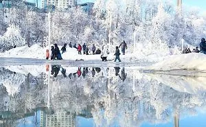 I Travel The World Photographing Reflections In Puddles With My Smartphone