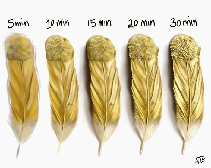 Artist Shows How Much Time She Actually Needs To Perfect One Drawing