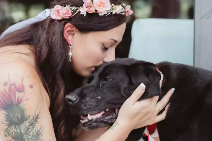 What This Dying Dog Did To His Owner Can Break Your Heart