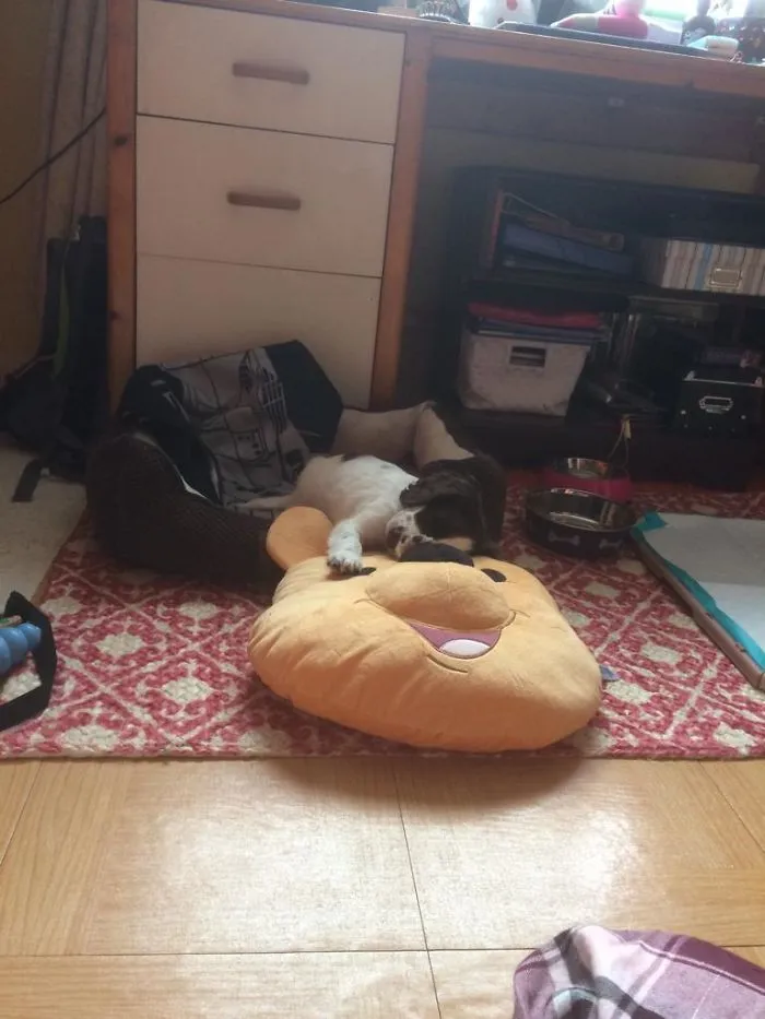 Tired After Peeing All Day