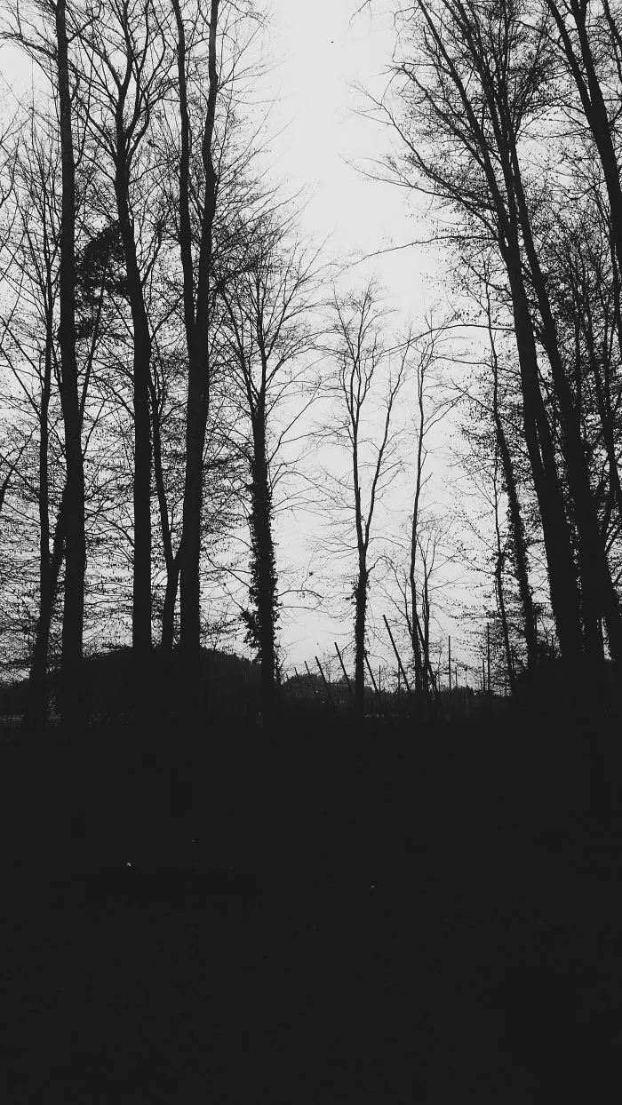 Writer In The Heart Of Exile