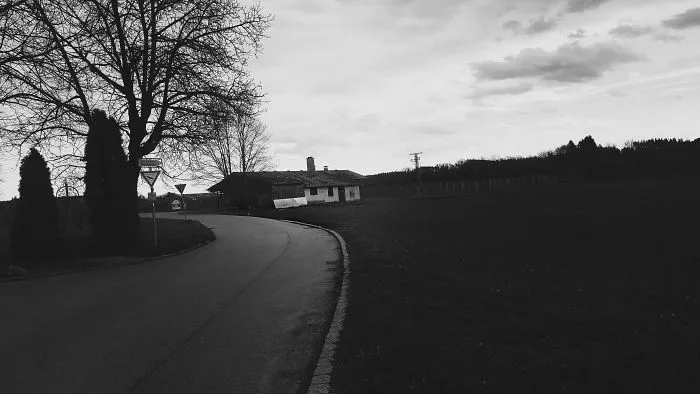 Writer In The Heart Of Exile