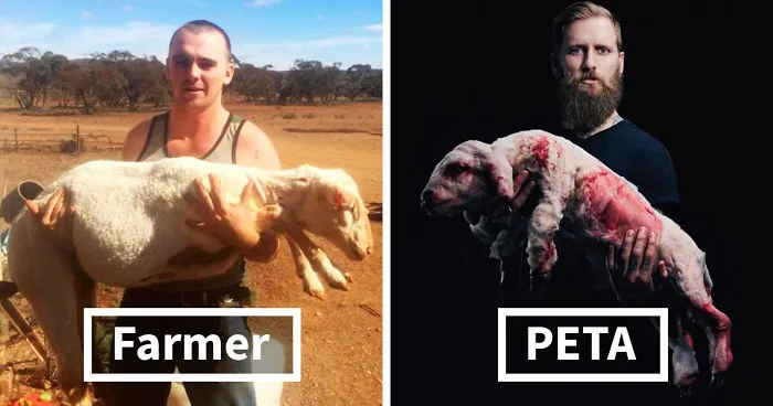 This Brutal Anti-PETA Rant Is Going Viral, And People Are Shocked To Learn About Their Hypocrisy