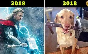 Funny Marvel Avengers Memes