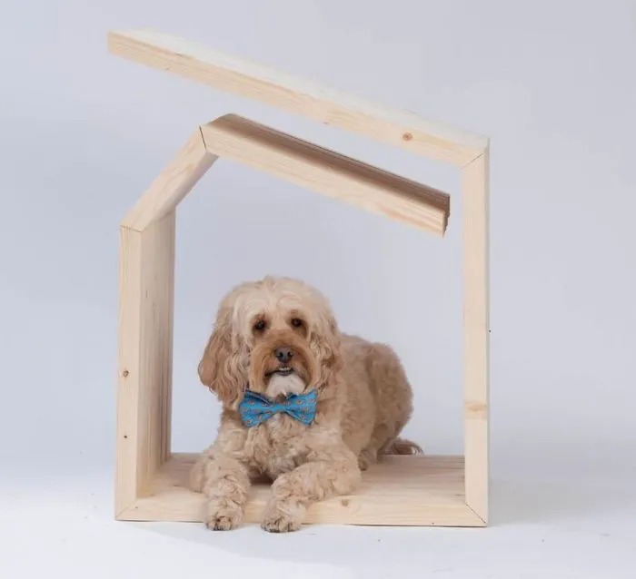 Architects Around The World Design Unique Dog Houses And It's For A Good Cause