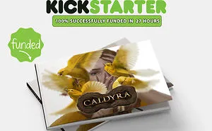 Illustrated Fantasy Novel: Caldyra!
