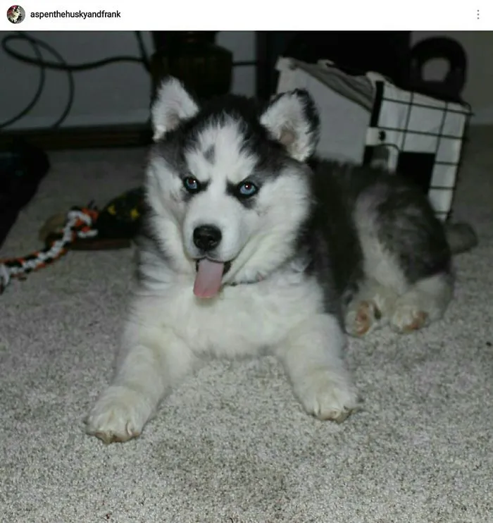 Baby Aspen❤