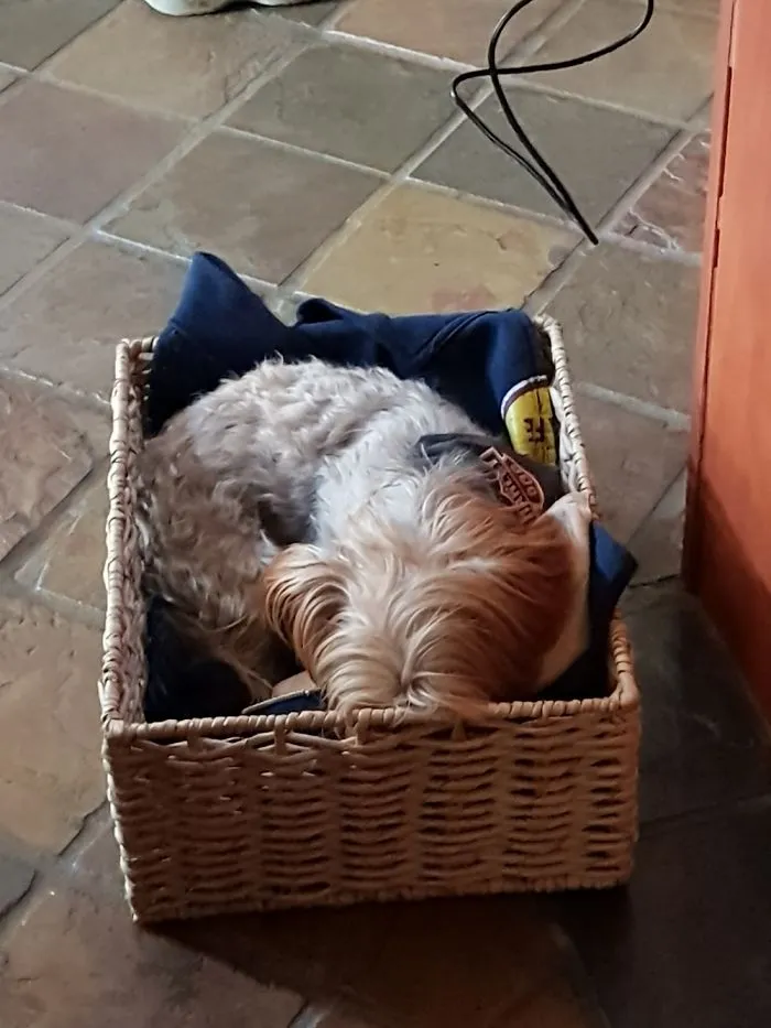 Byron Needs His Sleep