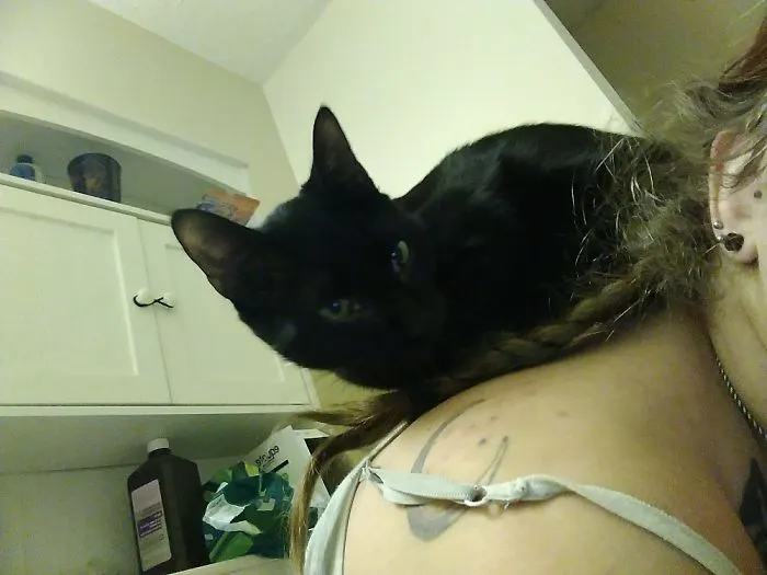 Oh, I'm Sorry, Were You Doing Something?