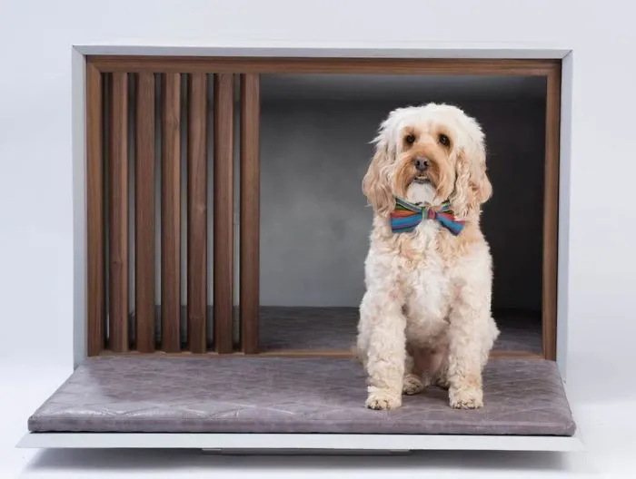 Architects Around The World Design Unique Dog Houses And It's For A Good Cause