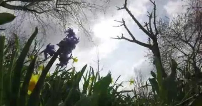 Time Lapse Of April - The Most Beautiful Month In Europe