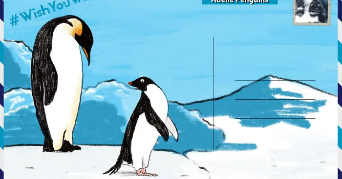 We Created Postcards Showing Where To Find Penguins In The Wild