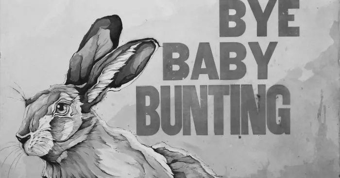 I'm An Animals Rights Artist An I Have A Fascination With The Lullaby Bye Baby Bunting