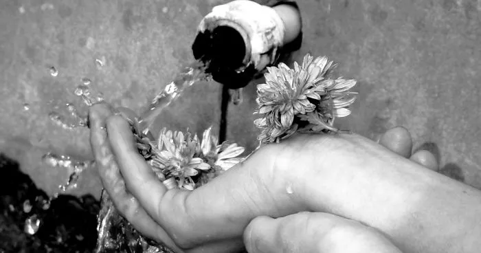 I Use My Smartphone To Take Black And White Photos