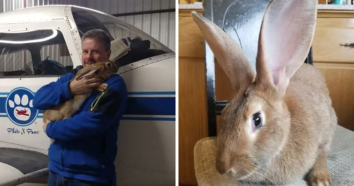 Love At First Flight – Our True Easter Bunny Blessing
