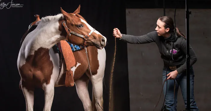 Behind The Scenes Of Photographing Horses In A Studio Will Put A Smile On Your Face