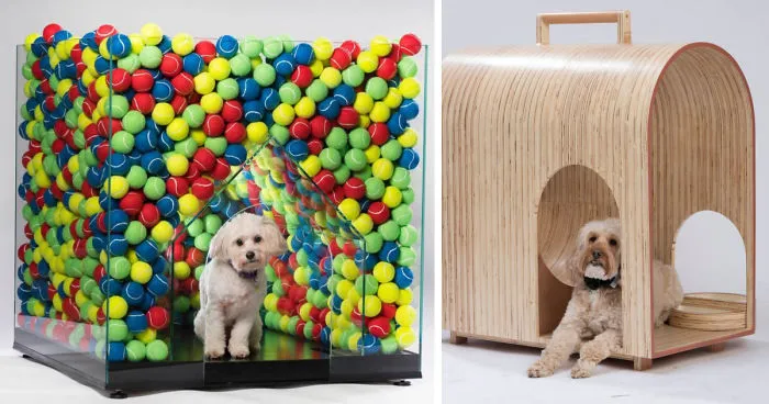 Architects Around The World Design Unique Dog Houses And It's For A Good Cause
