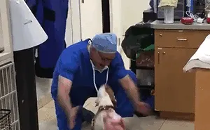 If You Think The World Is A Terrible Place These 50 Wholesome Pics Will Change Your Mind
