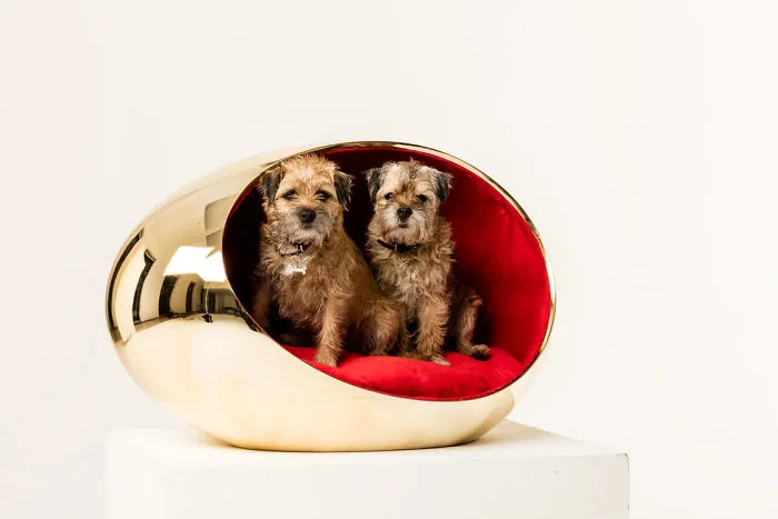 Architects Around The World Design Unique Dog Houses And It's For A Good Cause