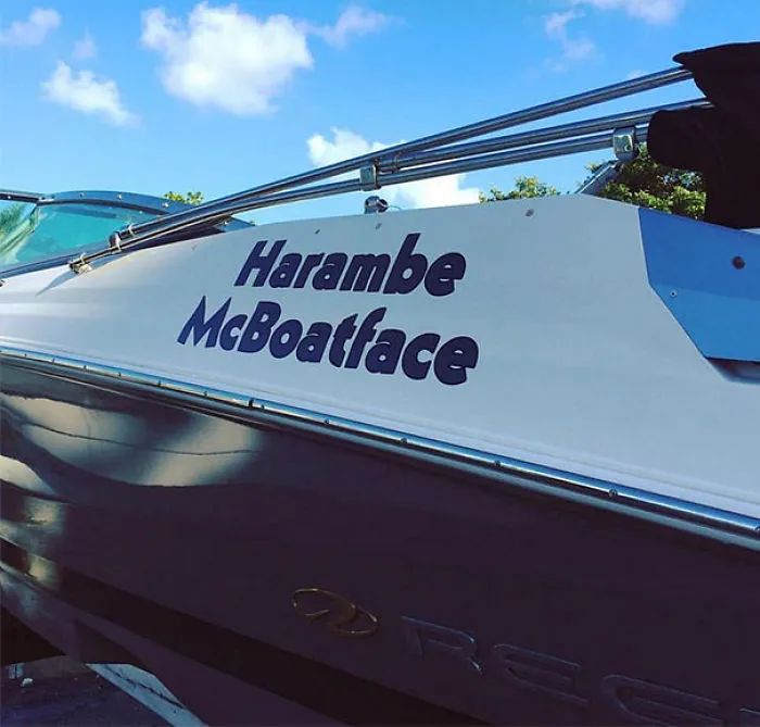 Funny named white and blue boat 