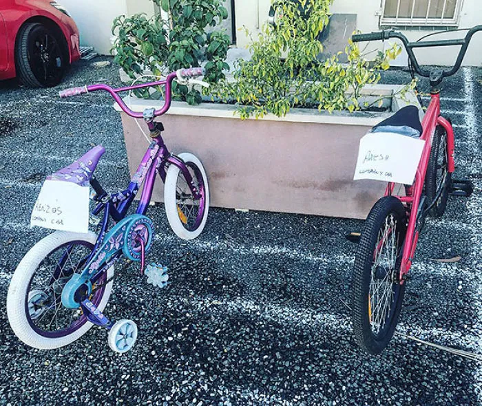 Nuevos coches de la compañía