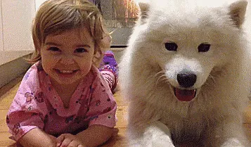 Partners In Crime