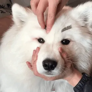 When You Try To Copy A Makeup Tutorial On Youtube