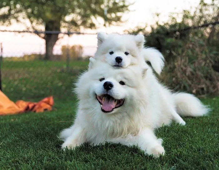 Two Soft Clouds Become One