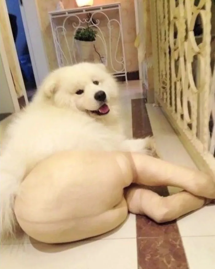 Draw Me Like One Of Your French Girls