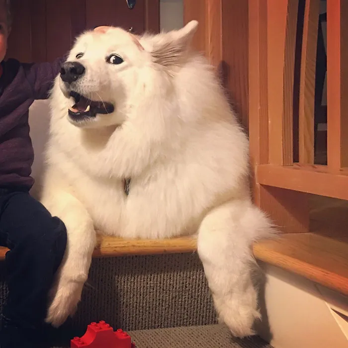 Giving Me A Major Side Eye