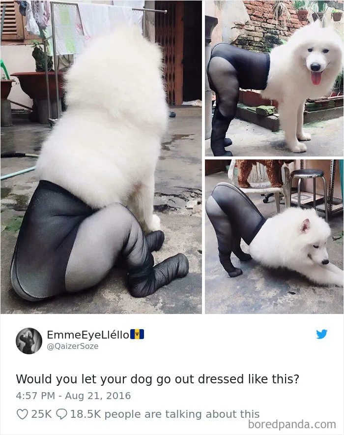 Have Some Decency