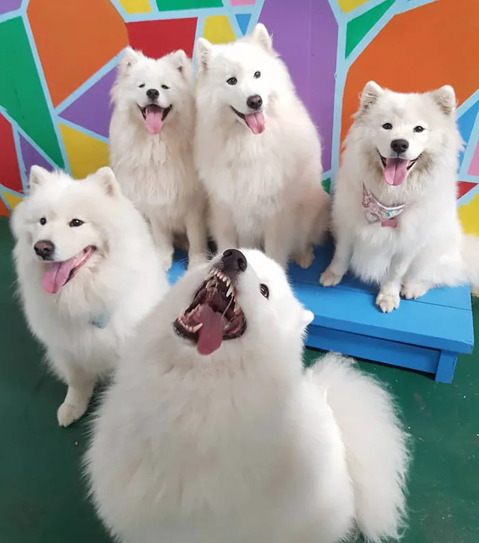 When One Friend In A Group Is Way More Crazy Than The Others