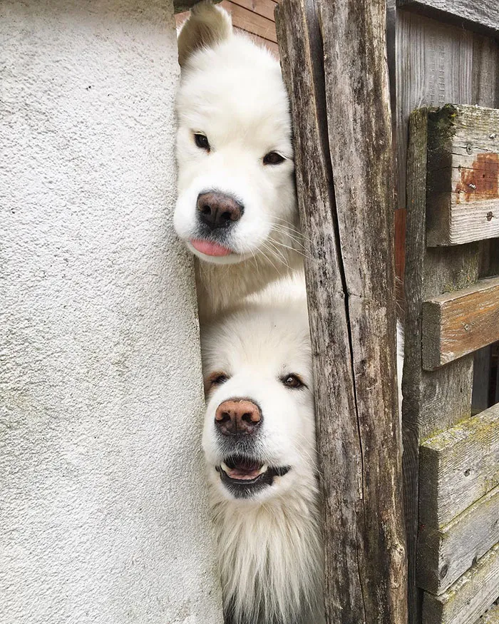 Neighbors Are Okay