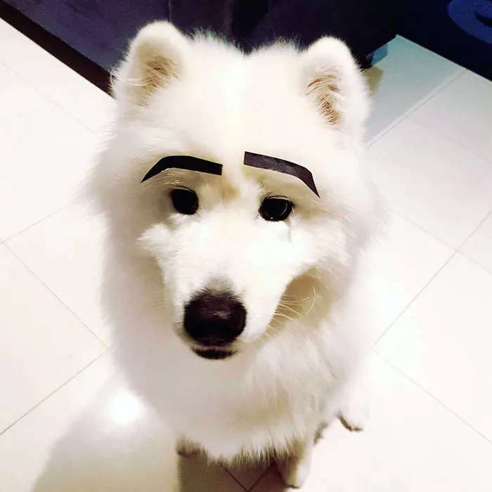 Eyebrows On Fleek