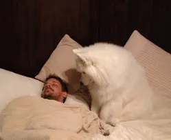 Lexi Wakes Dad Up