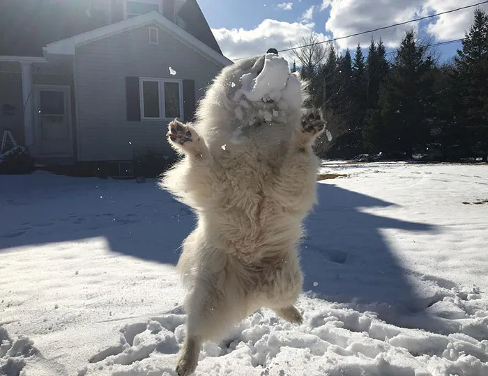 Catching A Ball