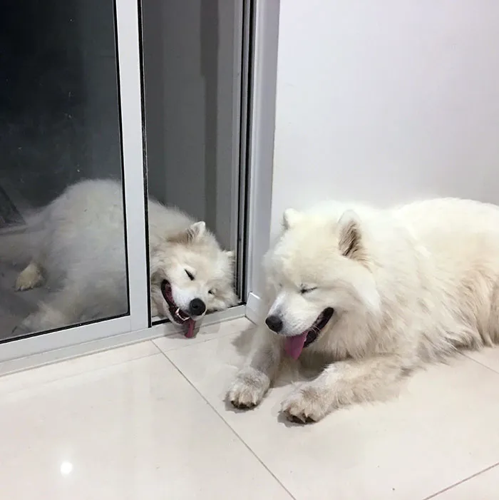 Post Walk Cool Down