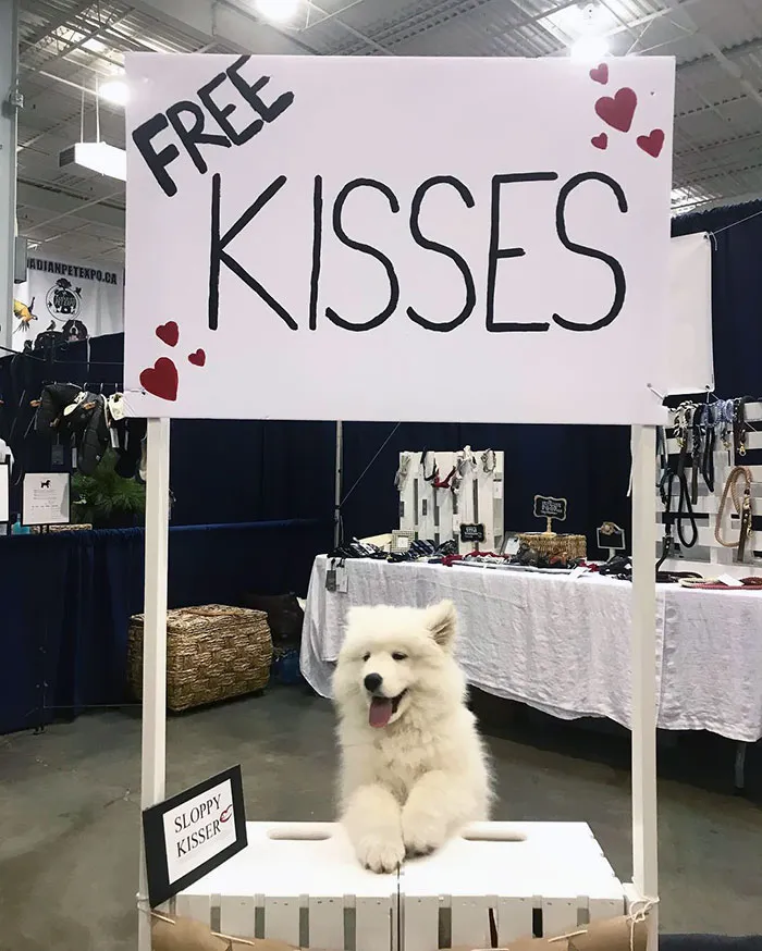 I’ll Be Here All Day, Ladies