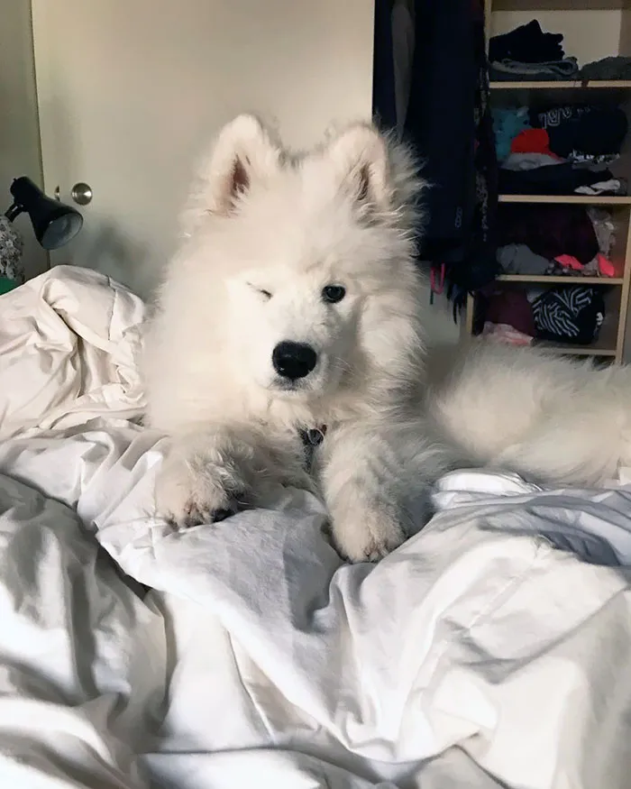 Don’t Tell Anyone I Was On The Bed. Let’s Keep This Between You And Me