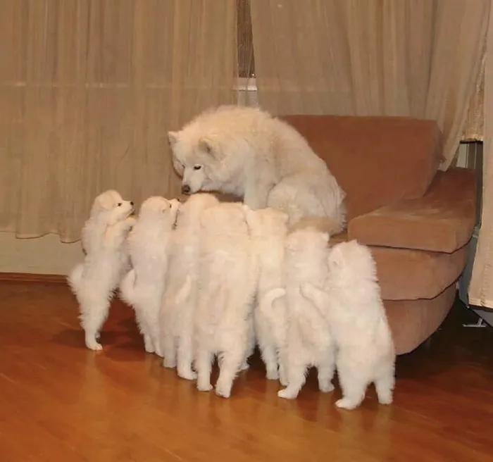 "Gather Around Kids, I Have A Story"