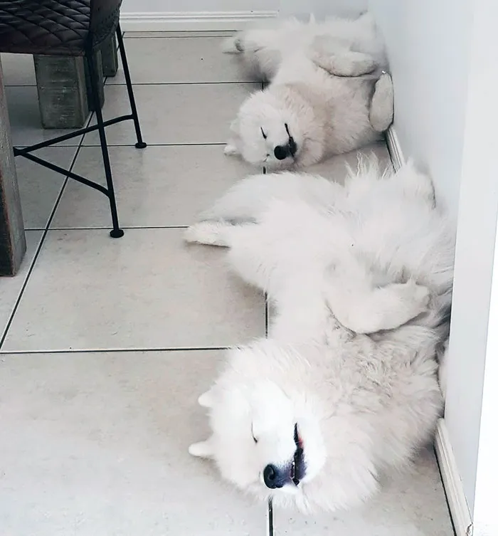 How We Lay