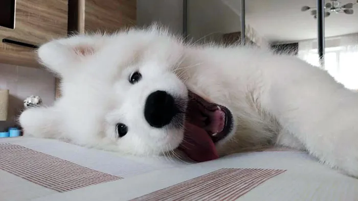 Morning Friend