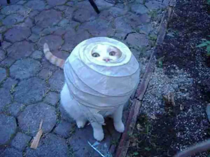 "Help"