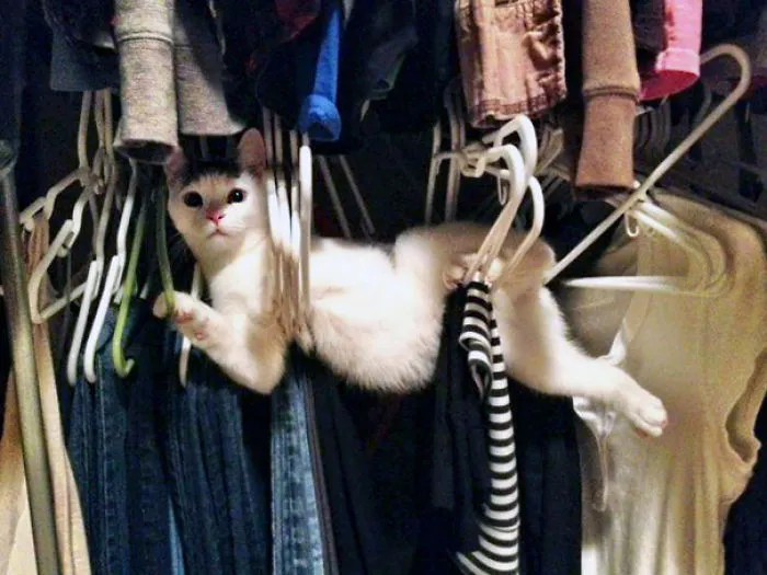 "What Are You Doing Home So Early?"